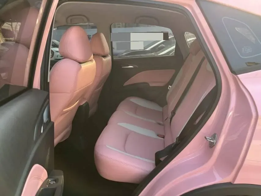 2021 Neta V BEV 38.54KWH,autocango,china used car exporter,china ev exporter,chinese used car exporter,chinese used ev exporter