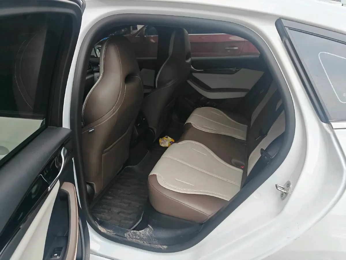 2024 BYD Qin Plus 1.5L 110HP L4 E-CVT PHEV 8.32KWH,autocango,china used car exporter,china ev exporter,chinese used car exporter,chinese used ev exporter