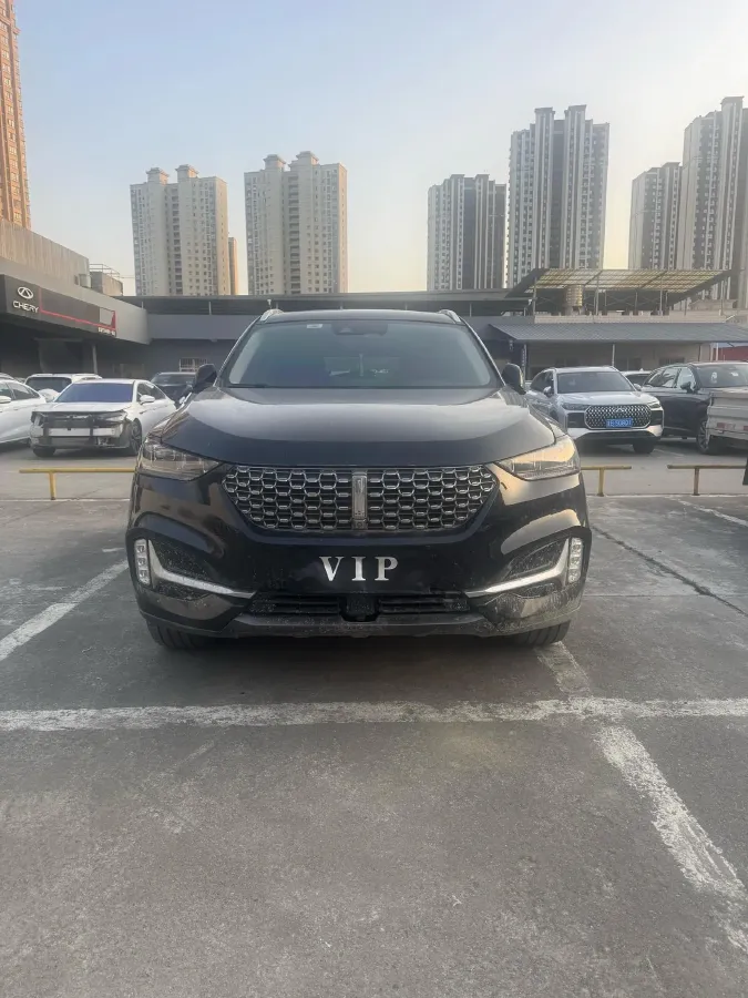 2021 WEY VV6 2.0T 227HP L4 7DCT,autocango,china used car exporter,china ev exporter,chinese used car exporter,chinese used ev exporter