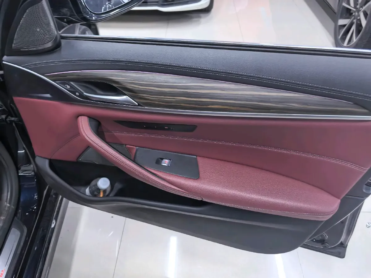 2022 BMW 5 Series 2.0T 252HP L4 8AT,autocango,china used car exporter,china ev exporter,chinese used car exporter,chinese used ev exporter