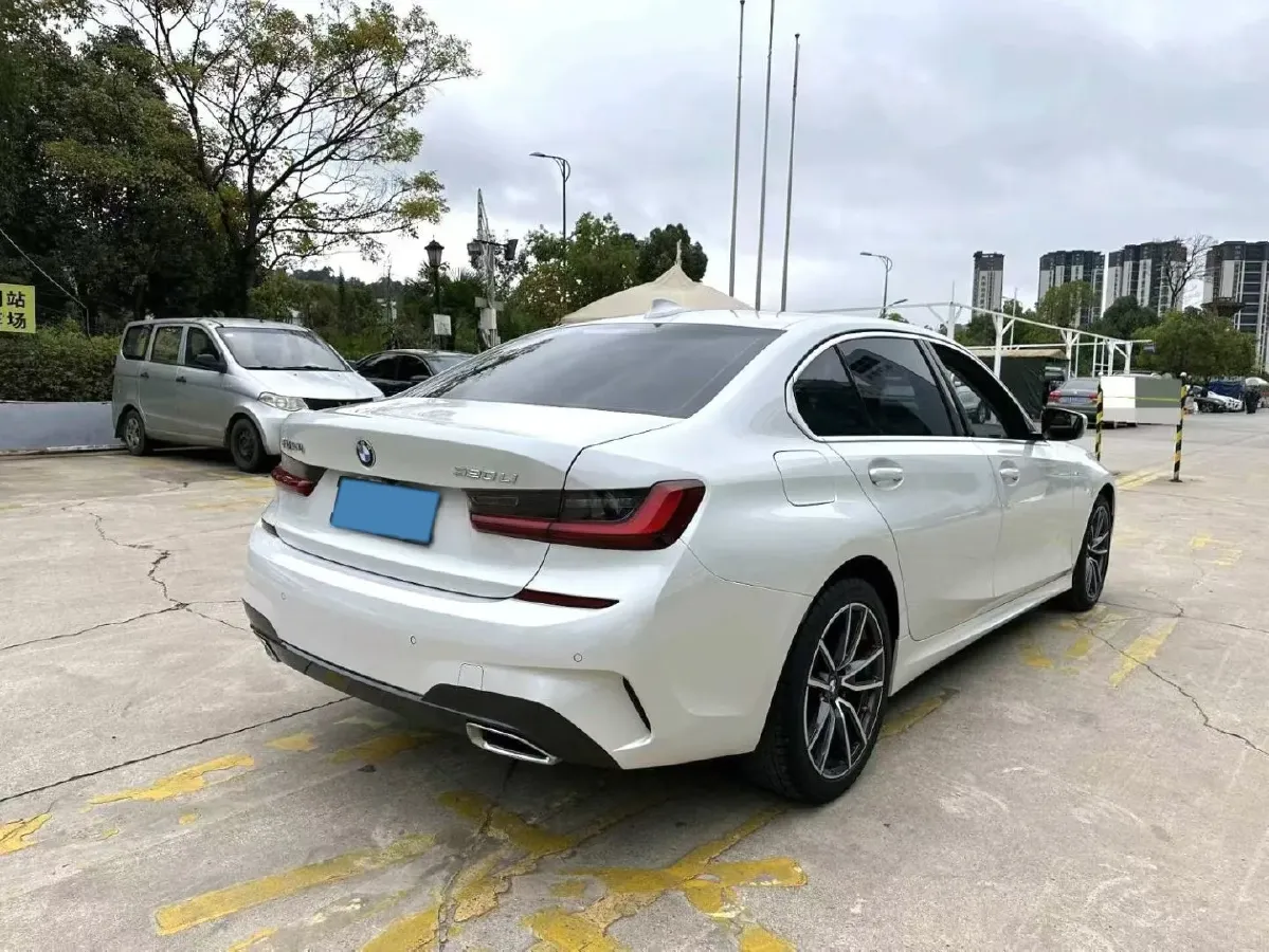 2021 BMW 3 Series 2.0T 156HP L4 8AT,autocango,china used car exporter,china ev exporter,chinese used car exporter,chinese used ev exporter