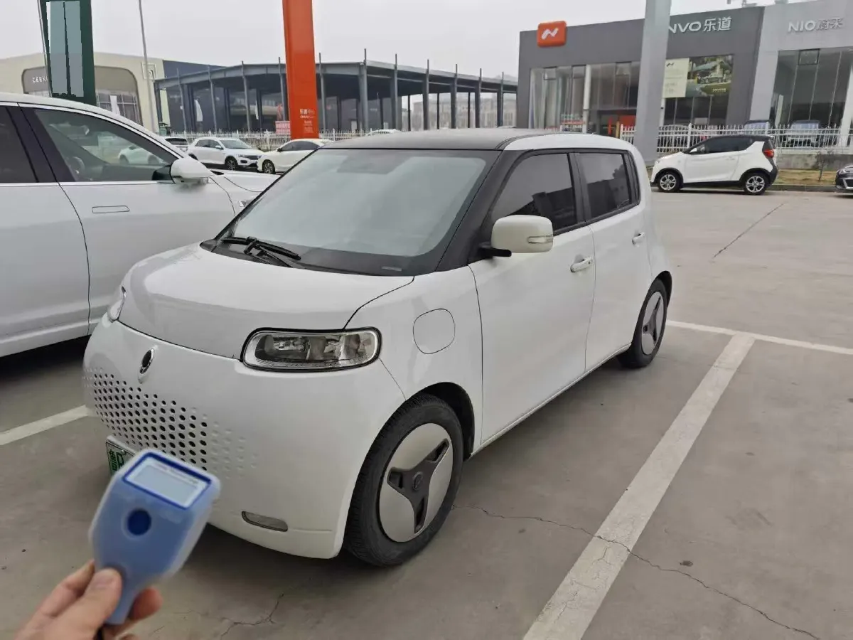 2020 Ora WhiteCat BEV 33KWH,autocango,china used car exporter,china ev exporter,chinese used car exporter,chinese used ev exporter