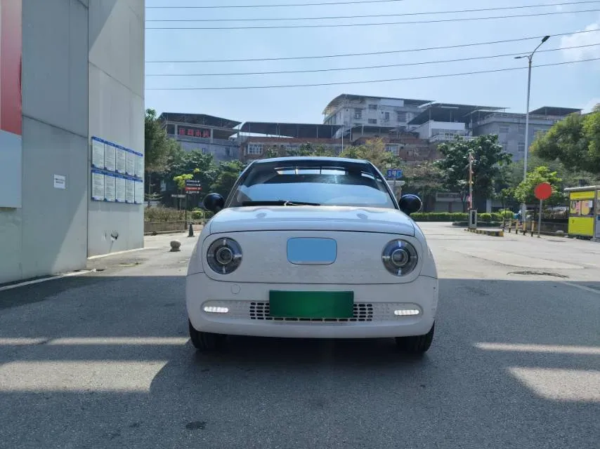 2022 DaYun YueHu BEV 30.66KWH,autocango,china used car exporter,china ev exporter,chinese used car exporter,chinese used ev exporter