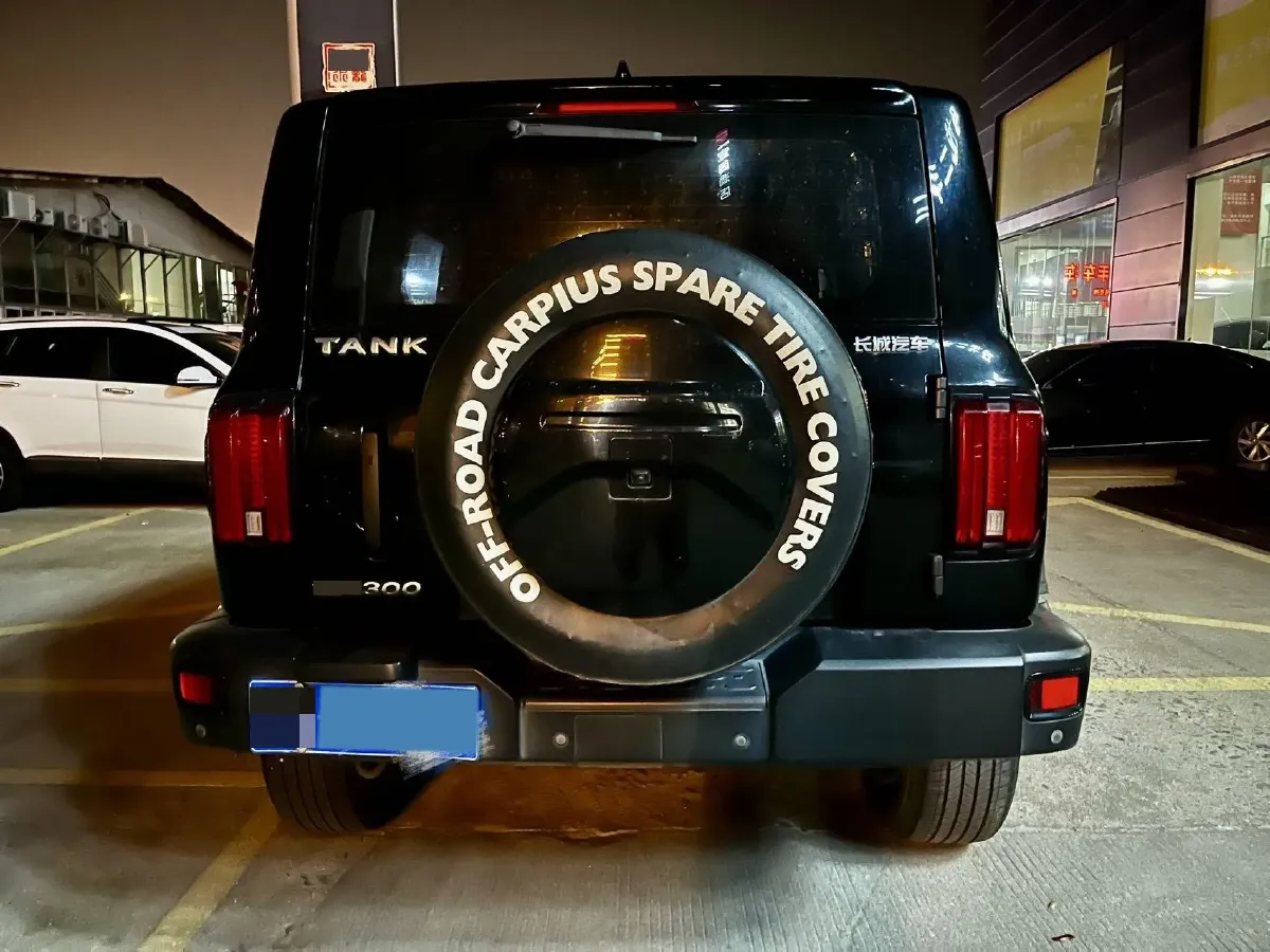 2021 Tank 300 2.0T 227HP L4 8AT,autocango,china used car exporter,china ev exporter,chinese used car exporter,chinese used ev exporter