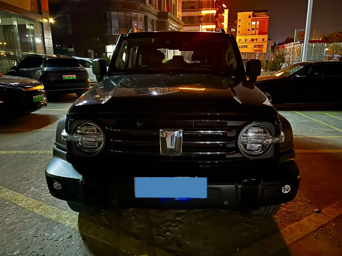 2021 Tank 300 2.0T 227HP L4 8AT,autocango,china used car exporter,china ev exporter,chinese used car exporter,chinese used ev exporter