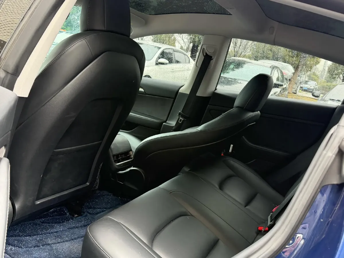 2021 Tesla Model 3 BEV 55KWH,autocango,china used car exporter,china ev exporter,chinese used car exporter,chinese used ev exporter