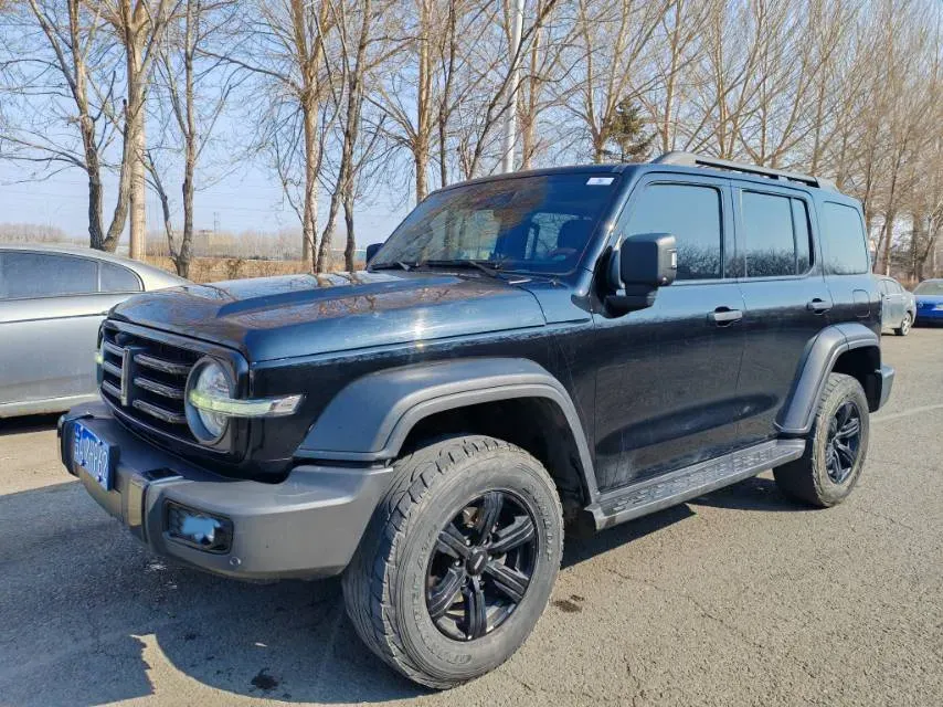 2021 Tank 300 2.0T 227HP L4 8AT,autocango,china used car exporter,china ev exporter,chinese used car exporter,chinese used ev exporter