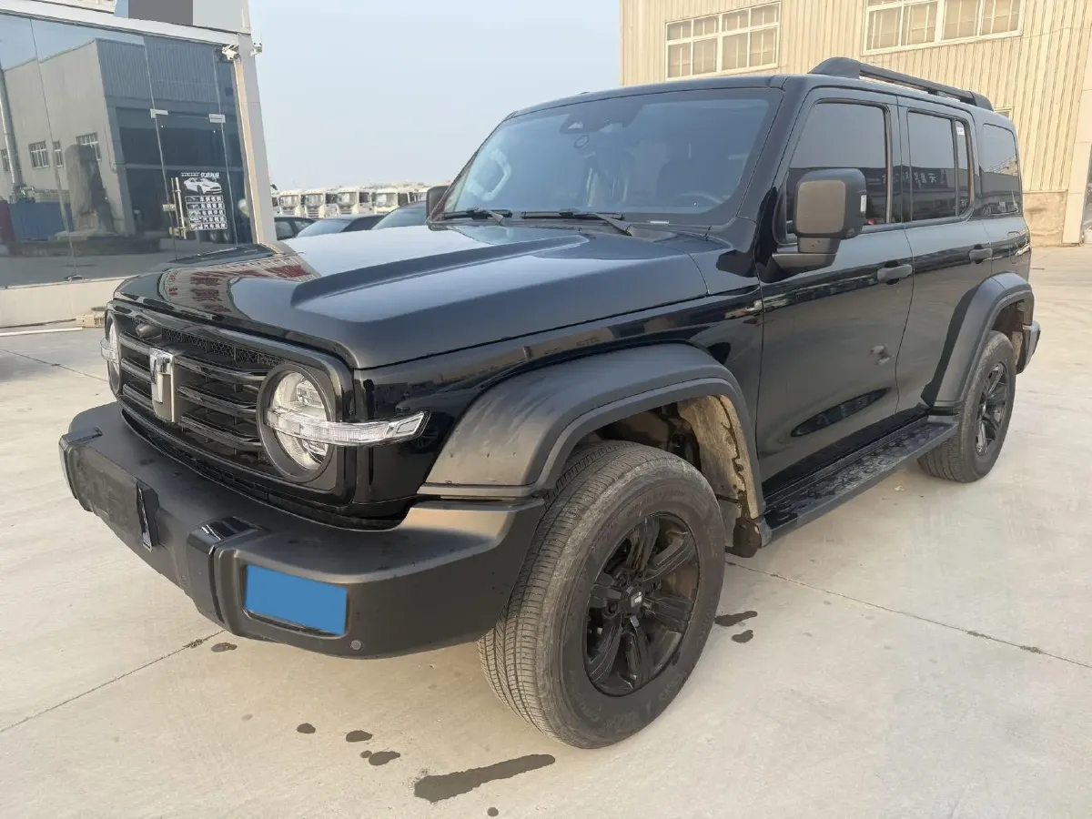 2024 Tank 300 2.0T 227HP L4 8AT,autocango,china used car exporter,china ev exporter,chinese used car exporter,chinese used ev exporter