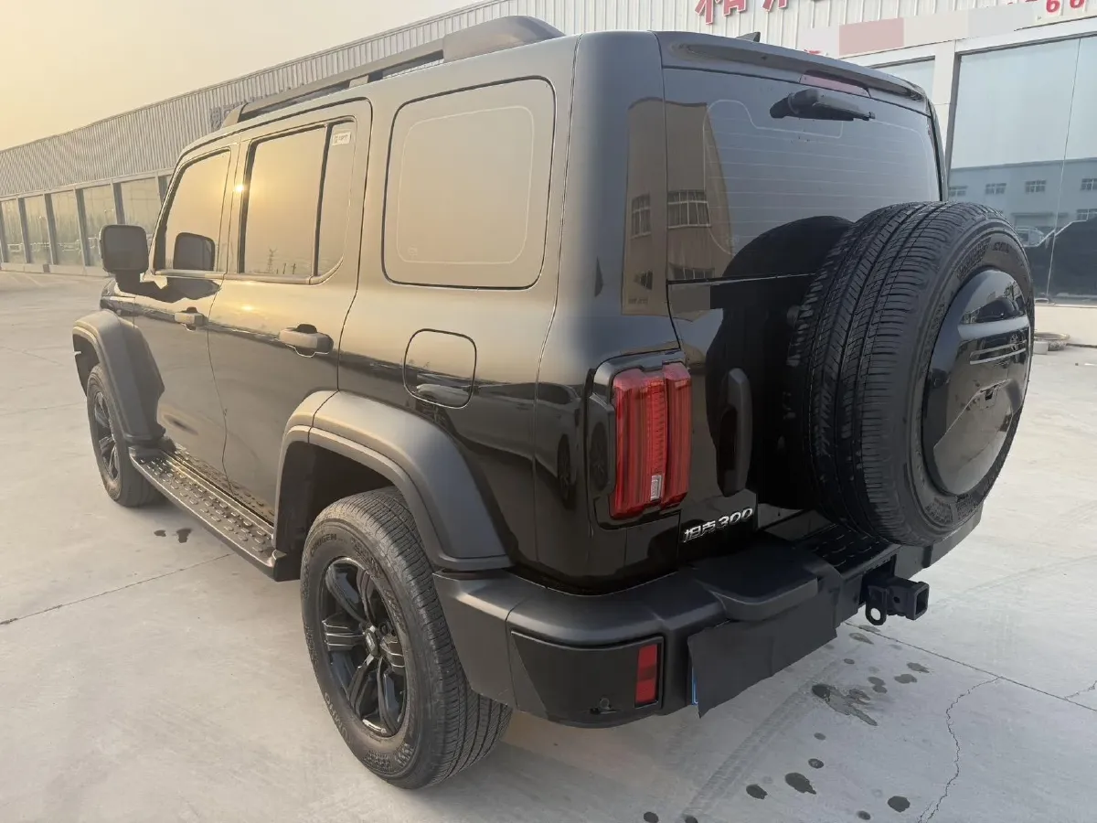 2024 Tank 300 2.0T 227HP L4 8AT,autocango,china used car exporter,china ev exporter,chinese used car exporter,chinese used ev exporter