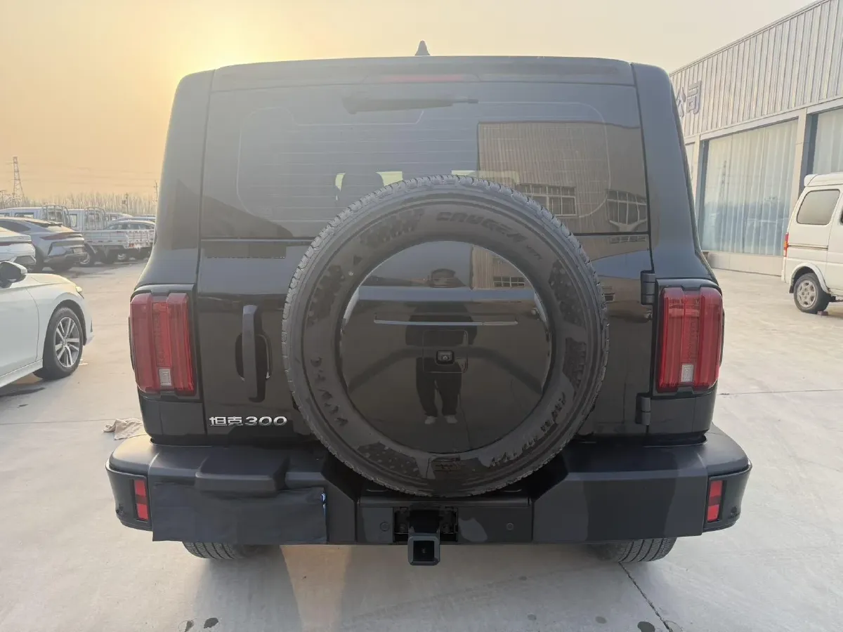 2024 Tank 300 2.0T 227HP L4 8AT,autocango,china used car exporter,china ev exporter,chinese used car exporter,chinese used ev exporter