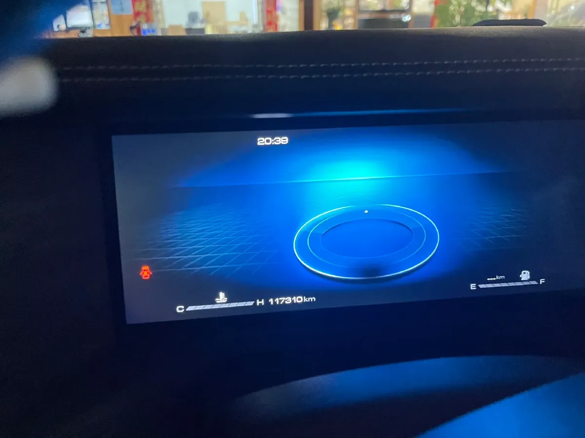 2023 Tank 300 2.0T 227HP L4 8AT,autocango,china used car exporter,china ev exporter,chinese used car exporter,chinese used ev exporter