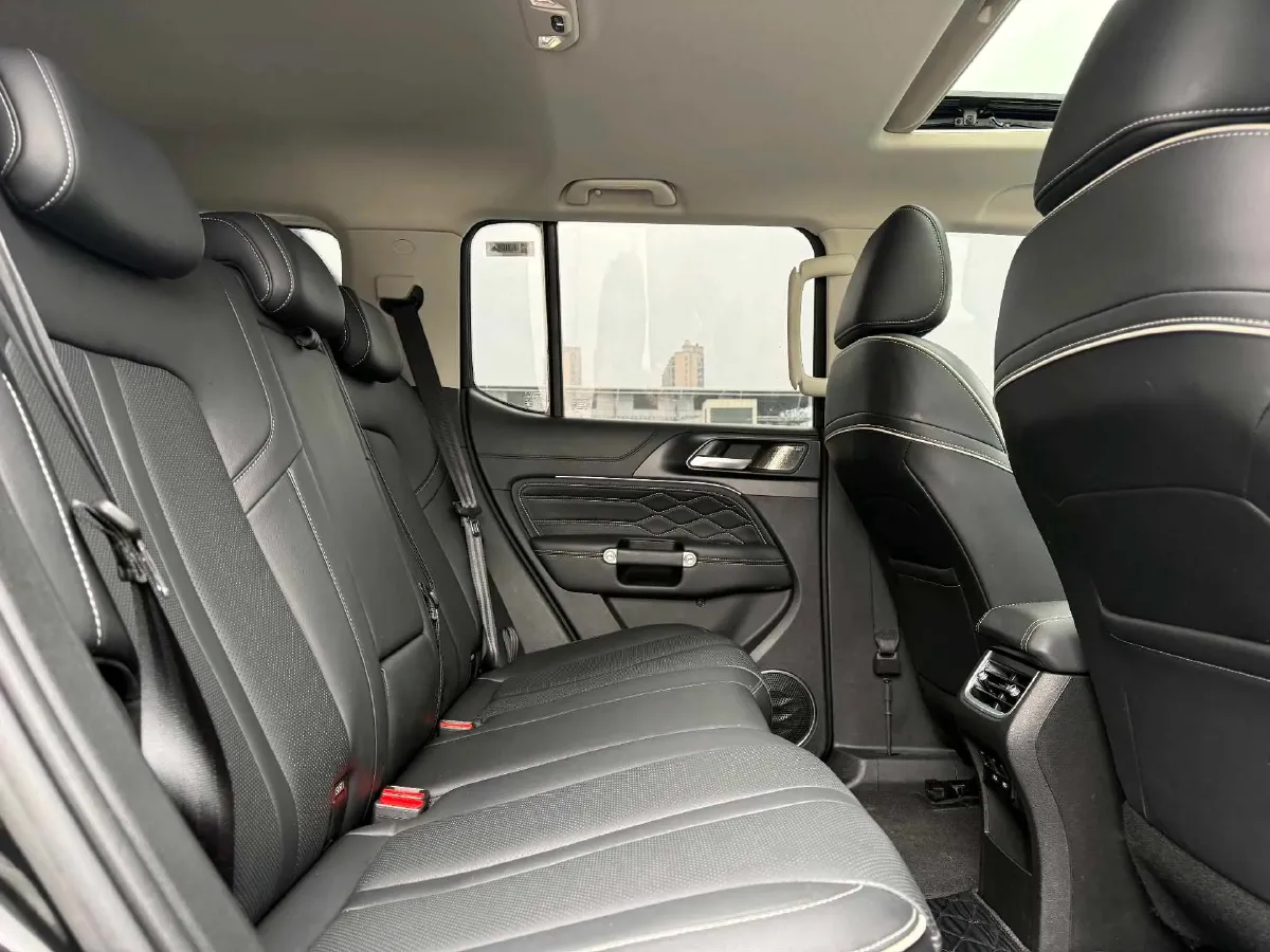 2024 Tank 300 2.0T 227HP L4 8AT,autocango,china used car exporter,china ev exporter,chinese used car exporter,chinese used ev exporter