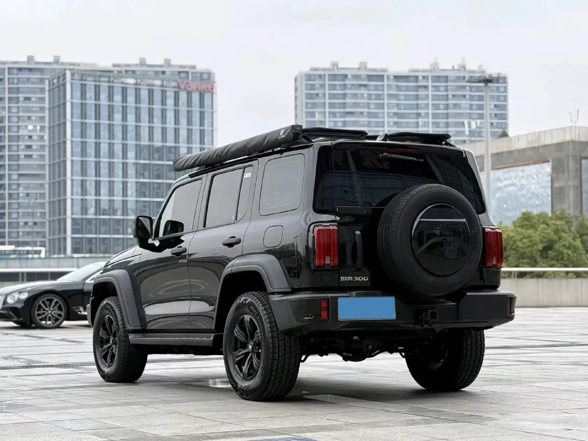 2024 Tank 300 2.0T 227HP L4 8AT,autocango,china used car exporter,china ev exporter,chinese used car exporter,chinese used ev exporter