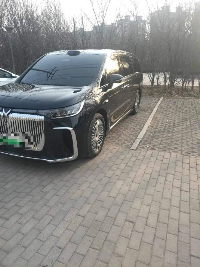 2025 Voyah Dream 1.5T 150HP L4 PHEV 41.7KWH,autocango,china used car exporter,china ev exporter,chinese used car exporter,chinese used ev exporter