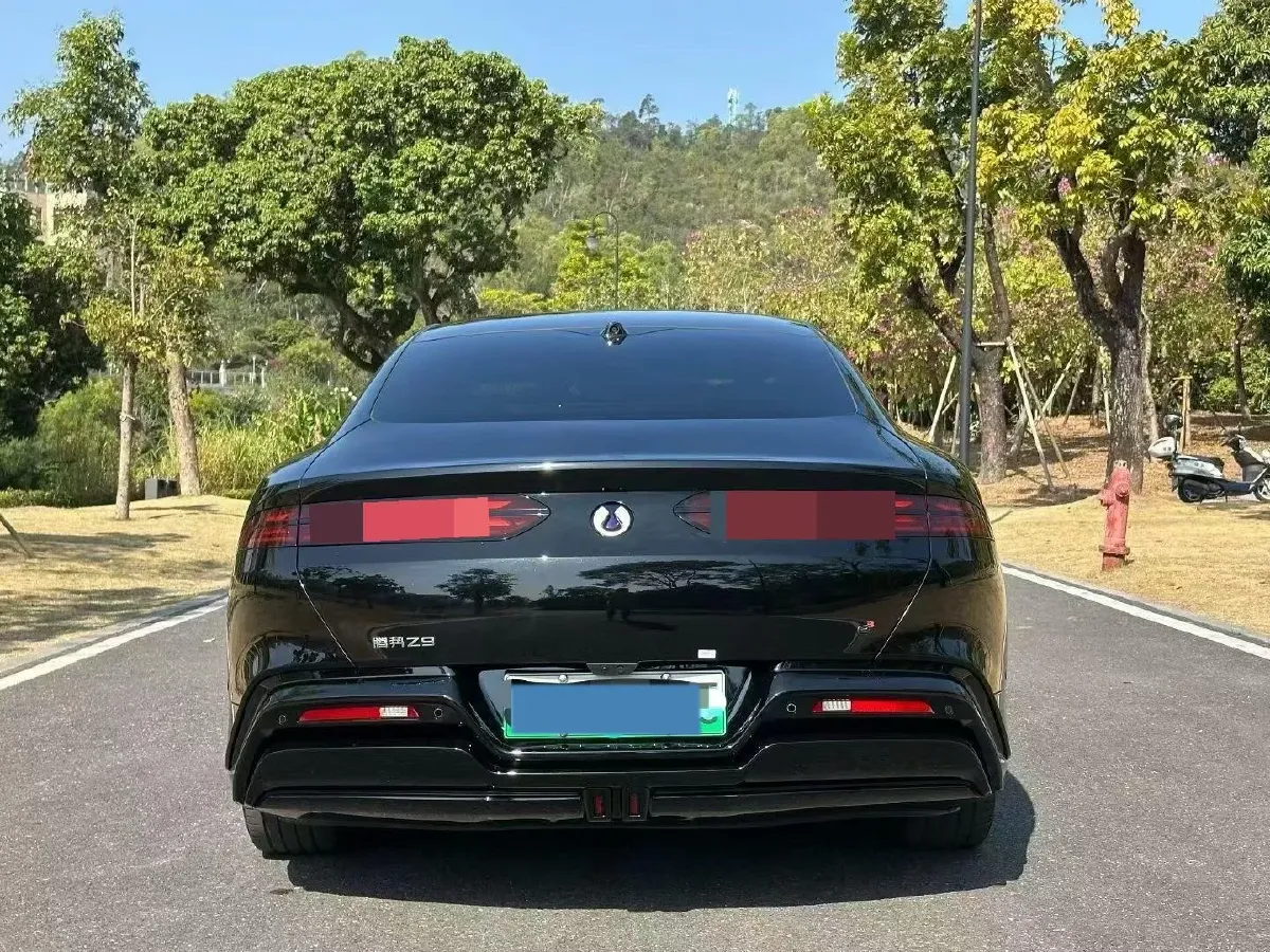 2024 Denza DenzaZ9 2.0T 207HP L4 E-CVT PHEV 38.5KWH,autocango,china used car exporter,china ev exporter,chinese used car exporter,chinese used ev exporter