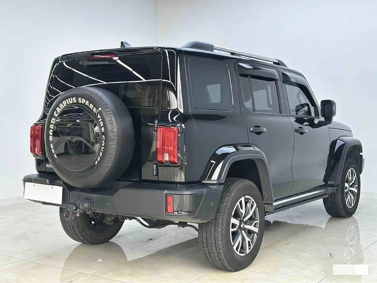 2024 Tank 300 2.0T 252HP L4 9AT,autocango,china used car exporter,china ev exporter,chinese used car exporter,chinese used ev exporter