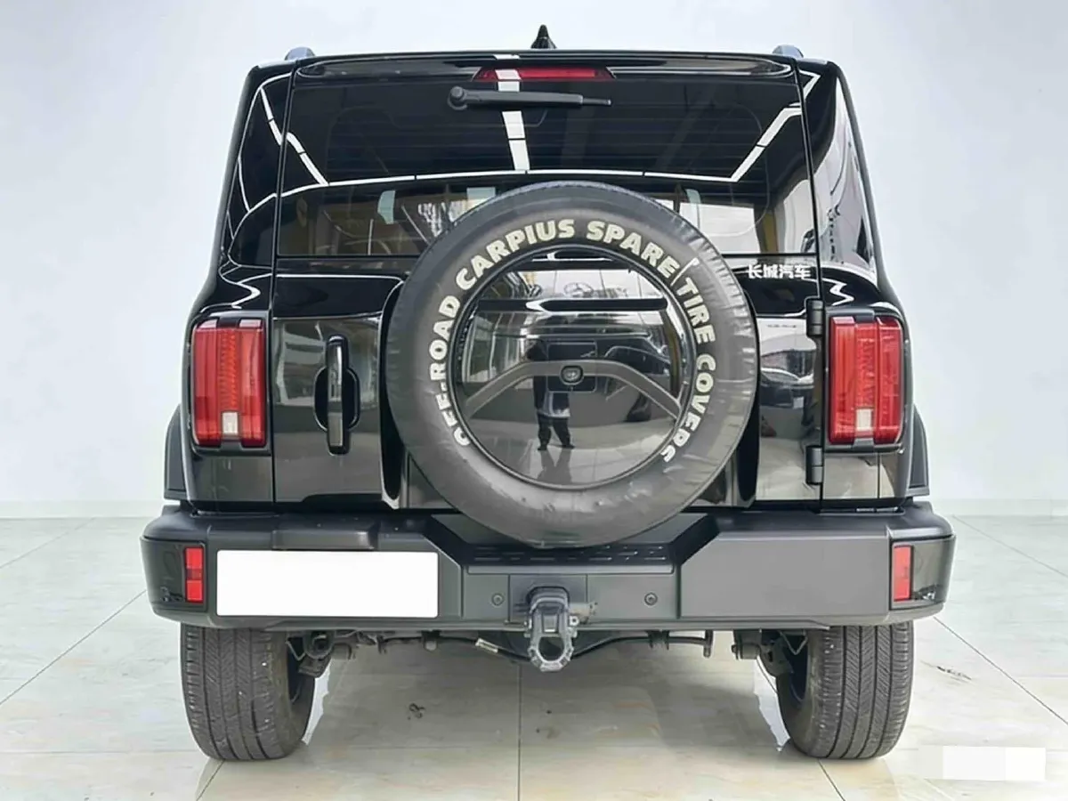 2024 Tank 300 2.0T 252HP L4 9AT,autocango,china used car exporter,china ev exporter,chinese used car exporter,chinese used ev exporter