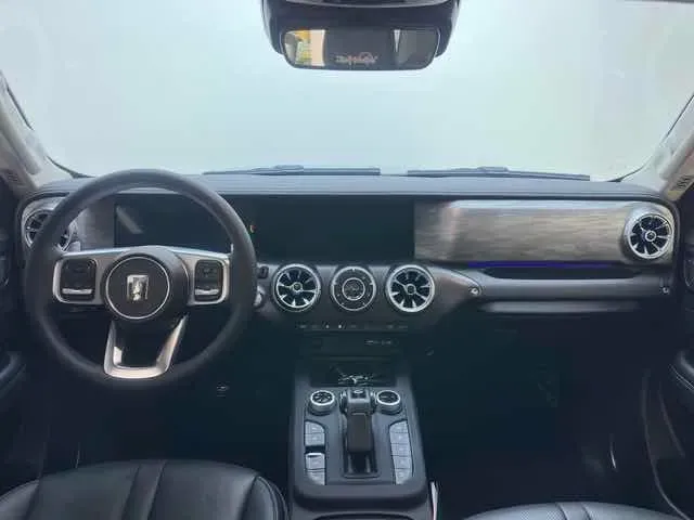 2024 Tank 300 2.0T 252HP L4 9AT,autocango,china used car exporter,china ev exporter,chinese used car exporter,chinese used ev exporter