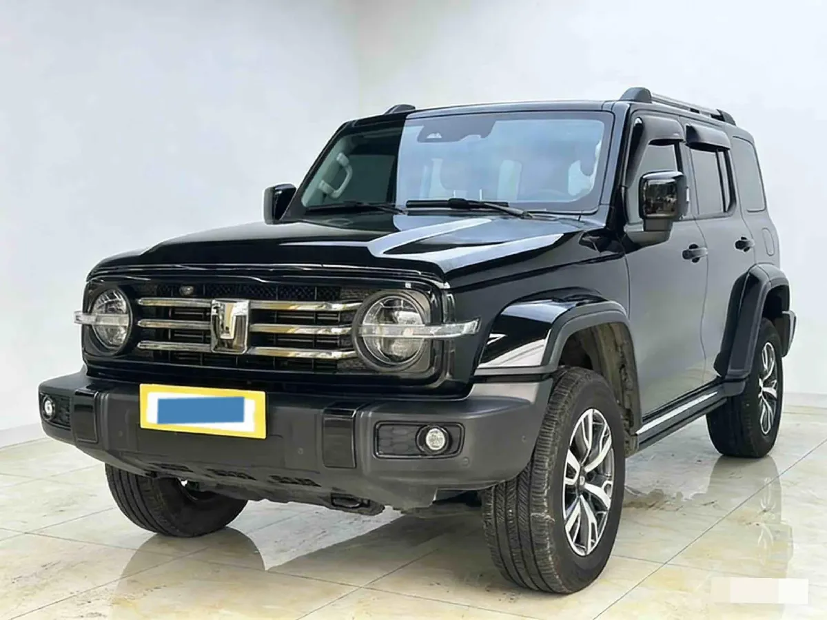 2024 Tank 300 2.0T 252HP L4 9AT,autocango,china used car exporter,china ev exporter,chinese used car exporter,chinese used ev exporter