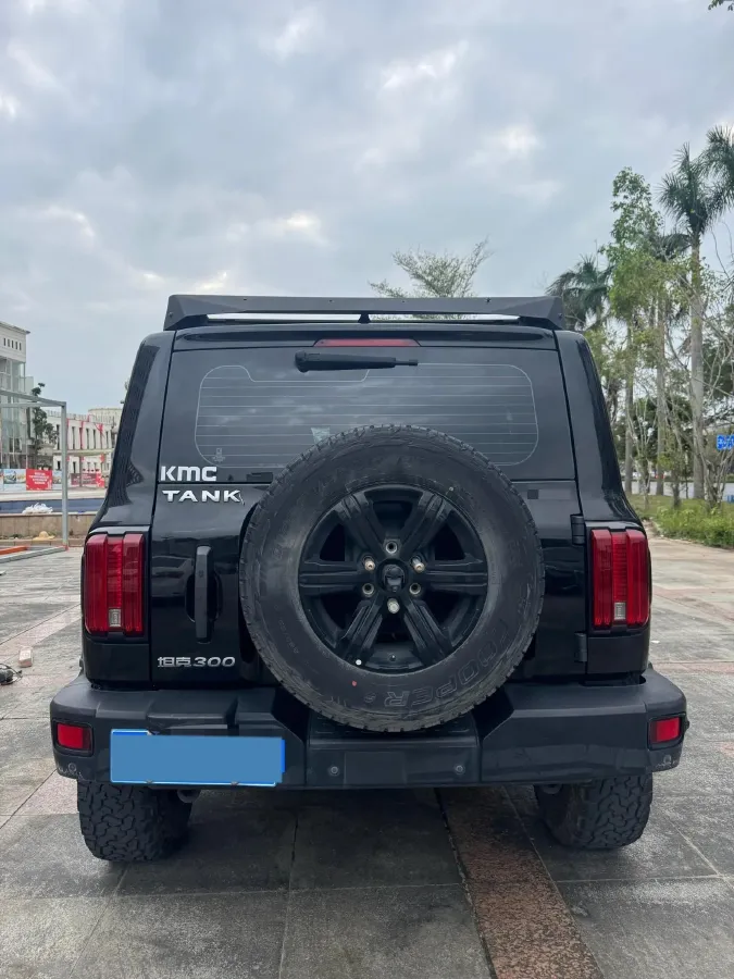 2021 Tank 300 2.0T 227HP L4 8AT,autocango,china used car exporter,china ev exporter,chinese used car exporter,chinese used ev exporter