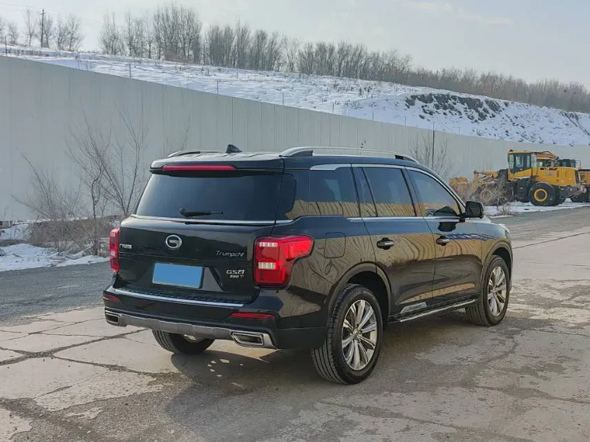 2020 GAC Trumpchi GS8 2.0T 252HP L4 6AT,autocango,china used car exporter,china ev exporter,chinese used car exporter,chinese used ev exporter