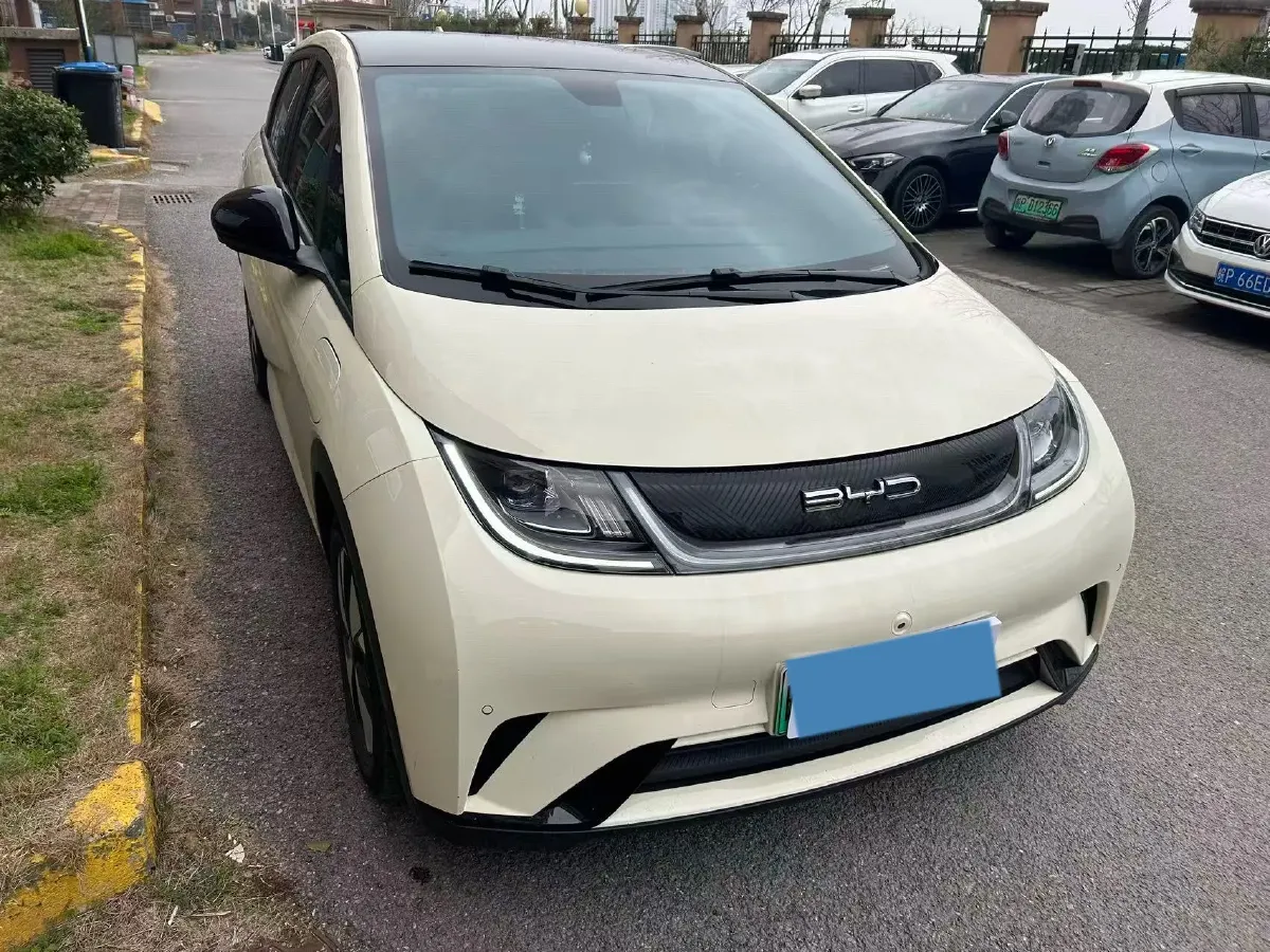 2023 BYD Dolphin BEV 44.928KWH,autocango,china used car exporter,china ev exporter,chinese used car exporter,chinese used ev exporter