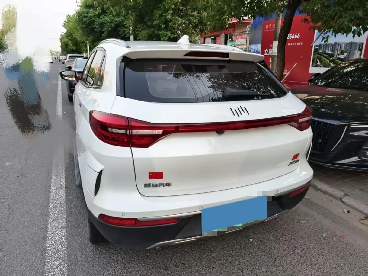 2019 Weltmeister EX5 BEV 52.56KWH,autocango,china used car exporter,china ev exporter,chinese used car exporter,chinese used ev exporter