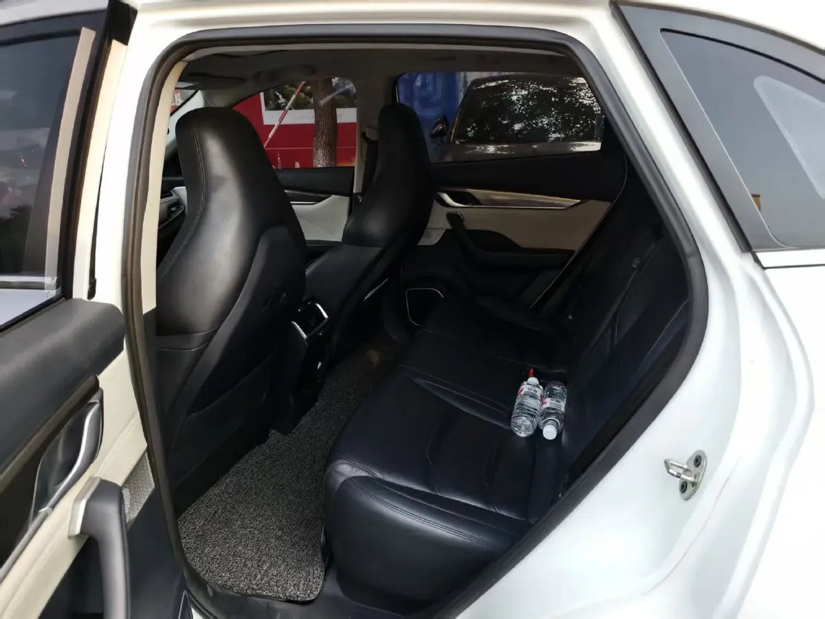 2019 Weltmeister EX5 BEV 52.56KWH,autocango,china used car exporter,china ev exporter,chinese used car exporter,chinese used ev exporter