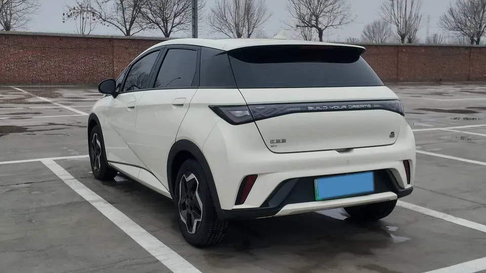 2021 BYD Yuan Pro BEV 50.1KWH,autocango,china used car exporter,china ev exporter,chinese used car exporter,chinese used ev exporter