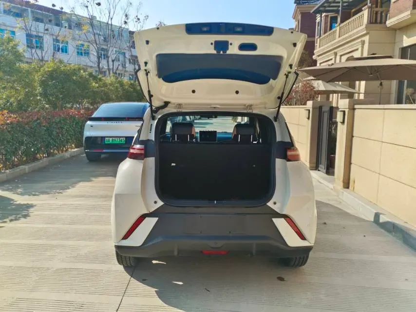 2023 BYD Seagull BEV 38.88KWH,autocango,china used car exporter,china ev exporter,chinese used car exporter,chinese used ev exporter