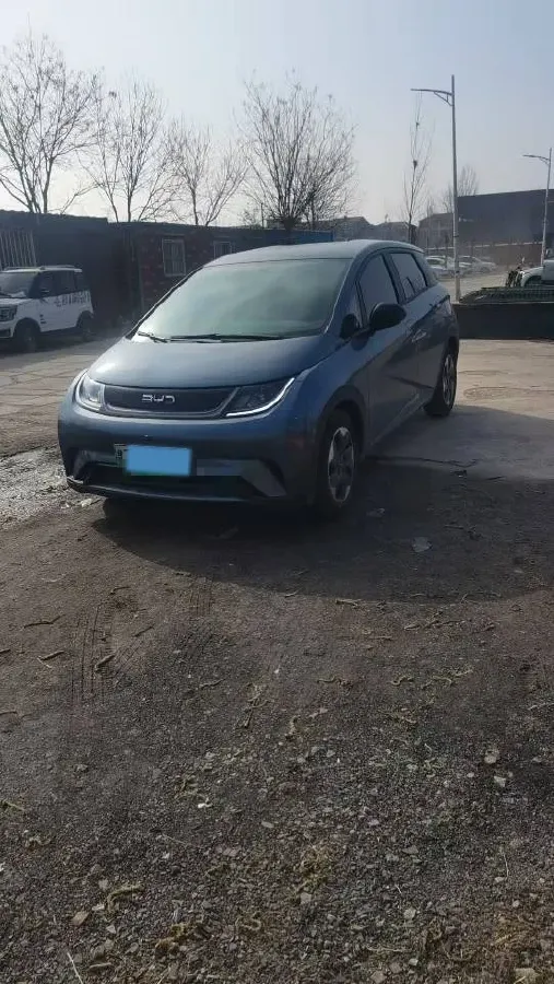 2025 BYD Dolphin BEV 44.928KWH,autocango,china used car exporter,china ev exporter,chinese used car exporter,chinese used ev exporter