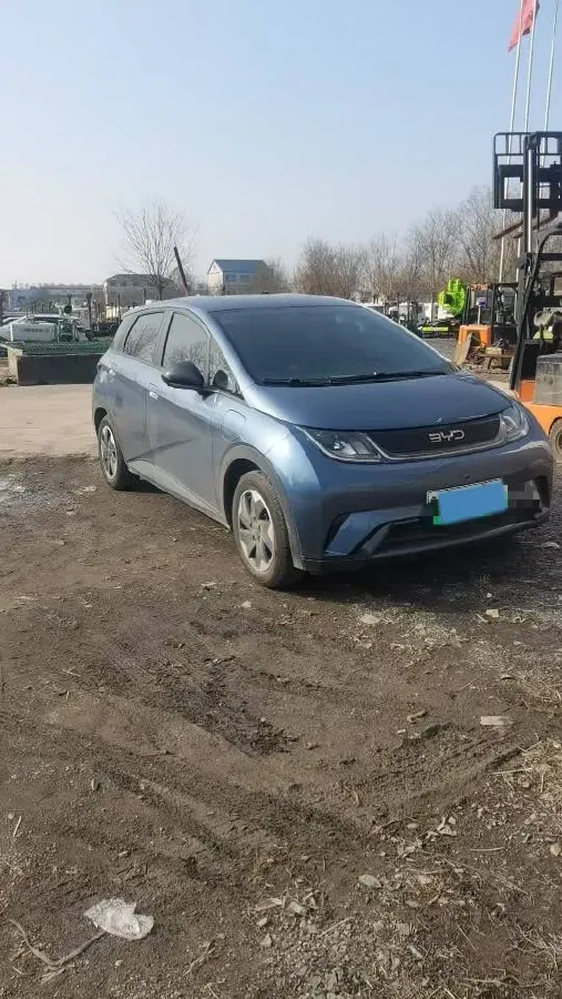 2025 BYD Dolphin BEV 44.928KWH,autocango,china used car exporter,china ev exporter,chinese used car exporter,chinese used ev exporter