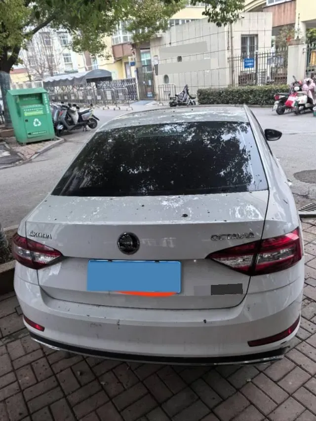 2018 Skoda Octavia 1.6L 110HP L4 6AT,autocango,china used car exporter,china ev exporter,chinese used car exporter,chinese used ev exporter