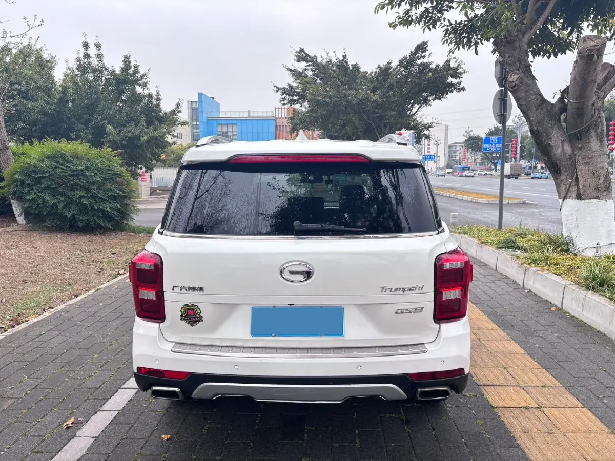 2019 GAC Trumpchi GS8 2.0T 252HP L4 6AT,autocango,china used car exporter,china ev exporter,chinese used car exporter,chinese used ev exporter