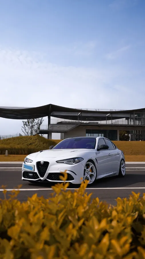 2017 Ford Mustang 2.3T 314HP L4 6AT,autocango,china used car exporter,china ev exporter,chinese used car exporter,chinese used ev exporter