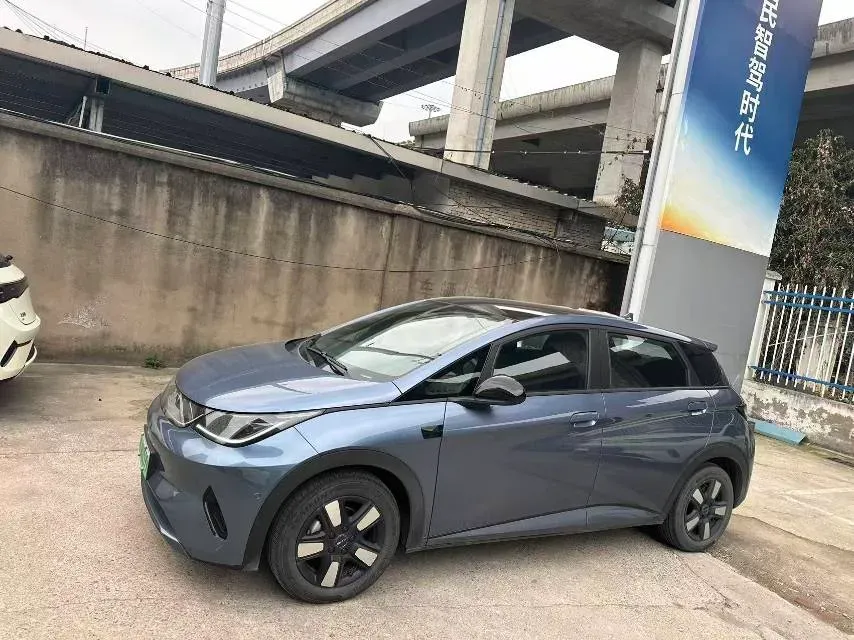 2025 BYD Dolphin BEV 45.12KWH,autocango,china used car exporter,china ev exporter,chinese used car exporter,chinese used ev exporter
