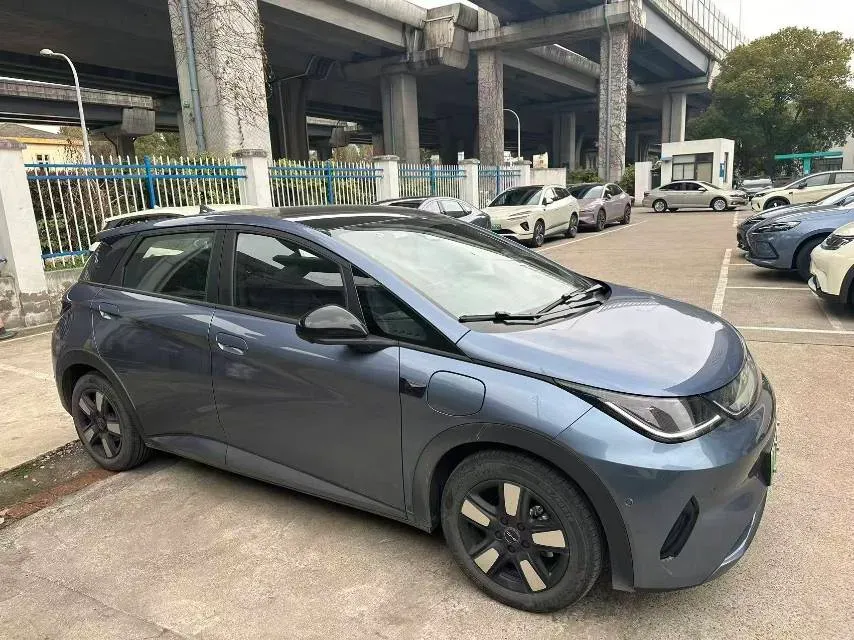 2025 BYD Dolphin BEV 45.12KWH,autocango,china used car exporter,china ev exporter,chinese used car exporter,chinese used ev exporter