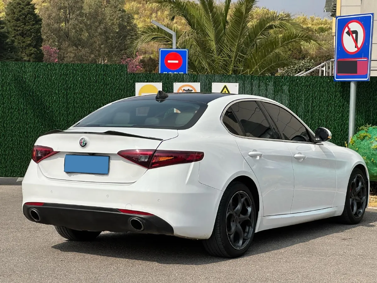 2017 Ford Mustang 2.3T 314HP L4 6AT,autocango,china used car exporter,china ev exporter,chinese used car exporter,chinese used ev exporter