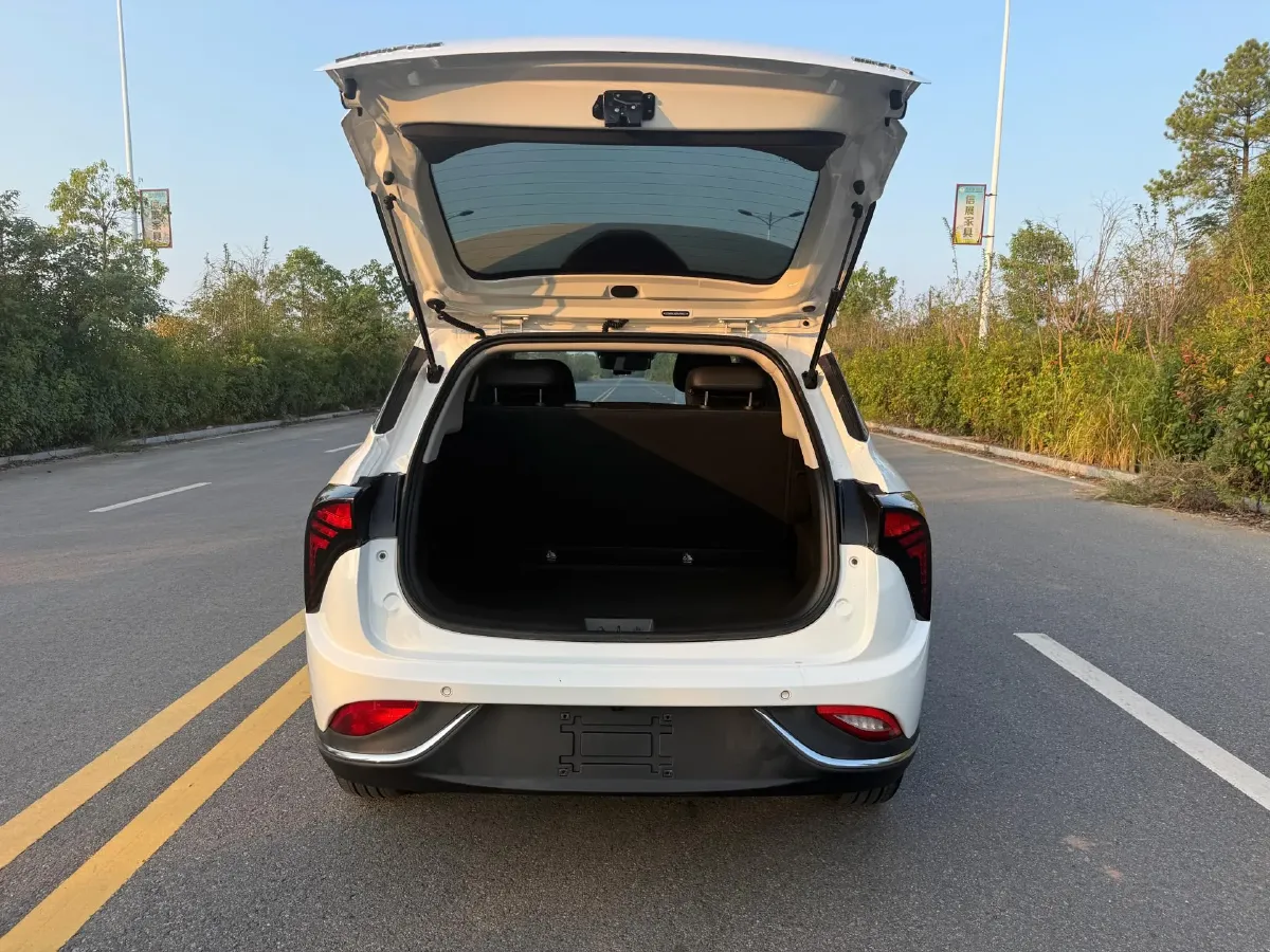 2022 Neta V BEV 38.54KWH,autocango,china used car exporter,china ev exporter,chinese used car exporter,chinese used ev exporter