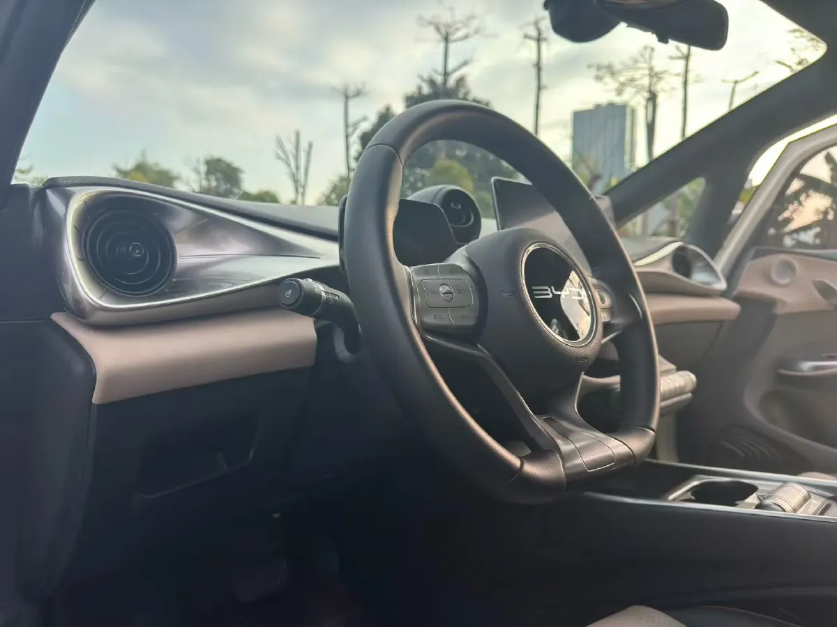 2024 BYD Dolphin BEV 44.928KWH,autocango,china used car exporter,china ev exporter,chinese used car exporter,chinese used ev exporter