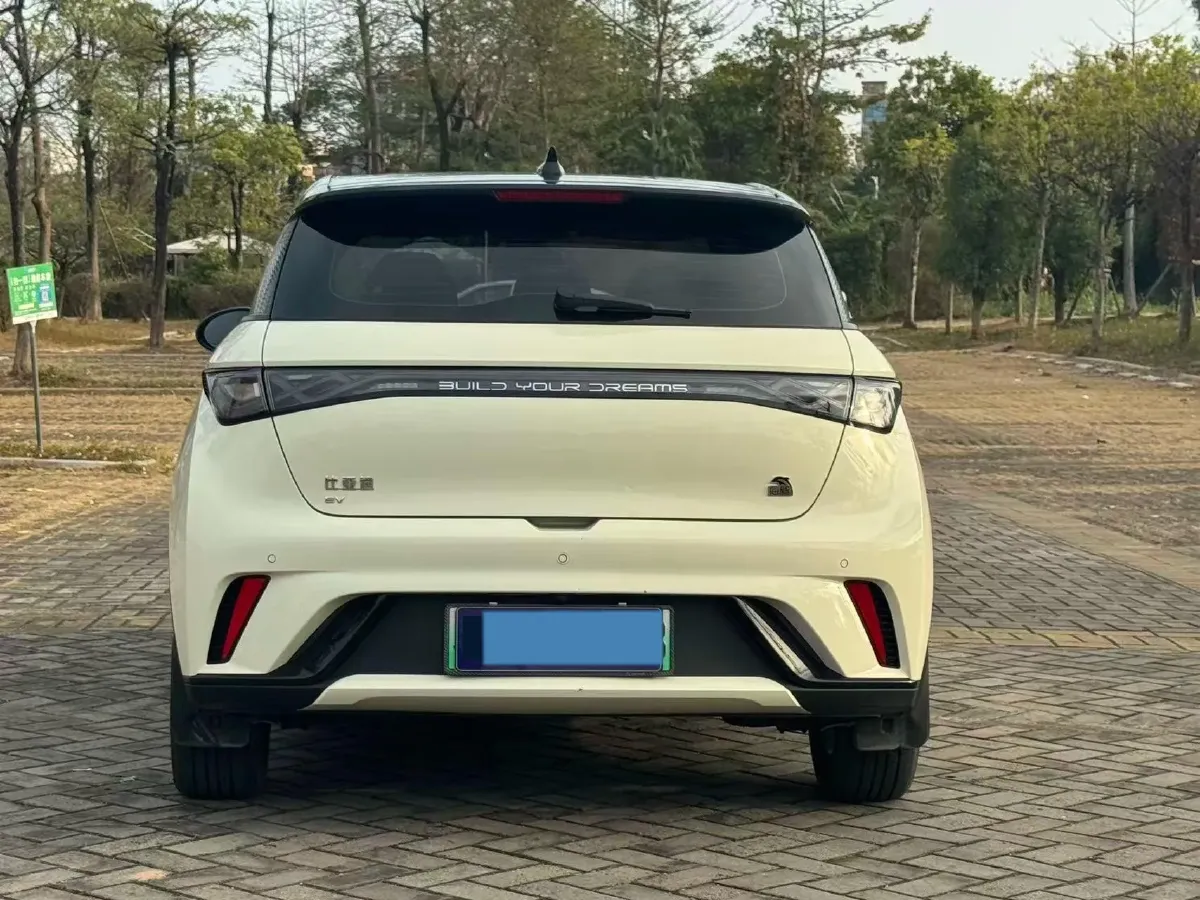 2024 BYD Dolphin BEV 44.928KWH,autocango,china used car exporter,china ev exporter,chinese used car exporter,chinese used ev exporter