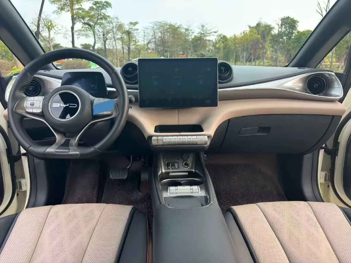 2024 BYD Dolphin BEV 44.928KWH,autocango,china used car exporter,china ev exporter,chinese used car exporter,chinese used ev exporter