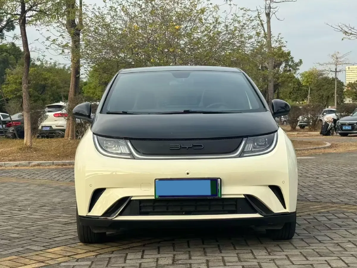 2024 BYD Dolphin BEV 44.928KWH,autocango,china used car exporter,china ev exporter,chinese used car exporter,chinese used ev exporter