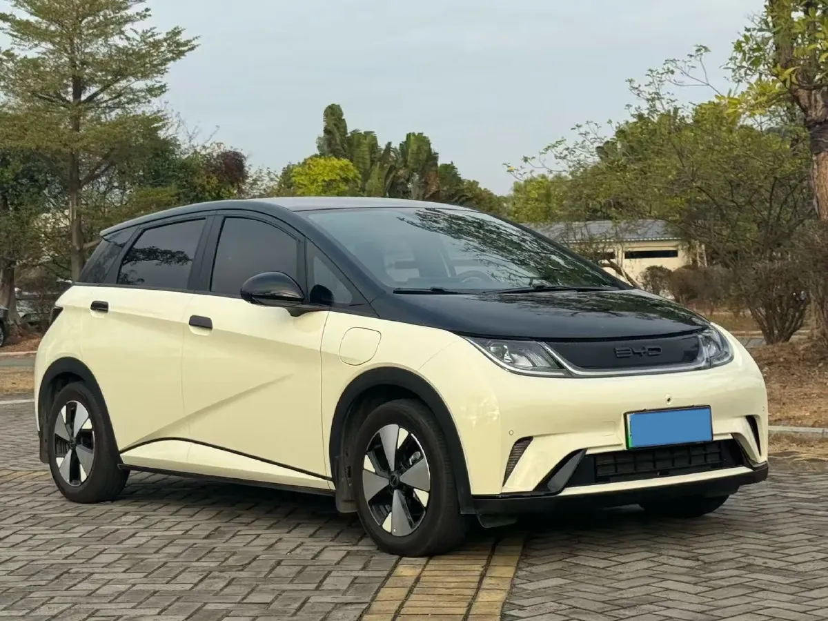 2024 BYD Dolphin BEV 44.928KWH,autocango,china used car exporter,china ev exporter,chinese used car exporter,chinese used ev exporter