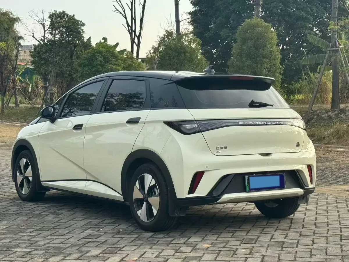 2024 BYD Dolphin BEV 44.928KWH,autocango,china used car exporter,china ev exporter,chinese used car exporter,chinese used ev exporter