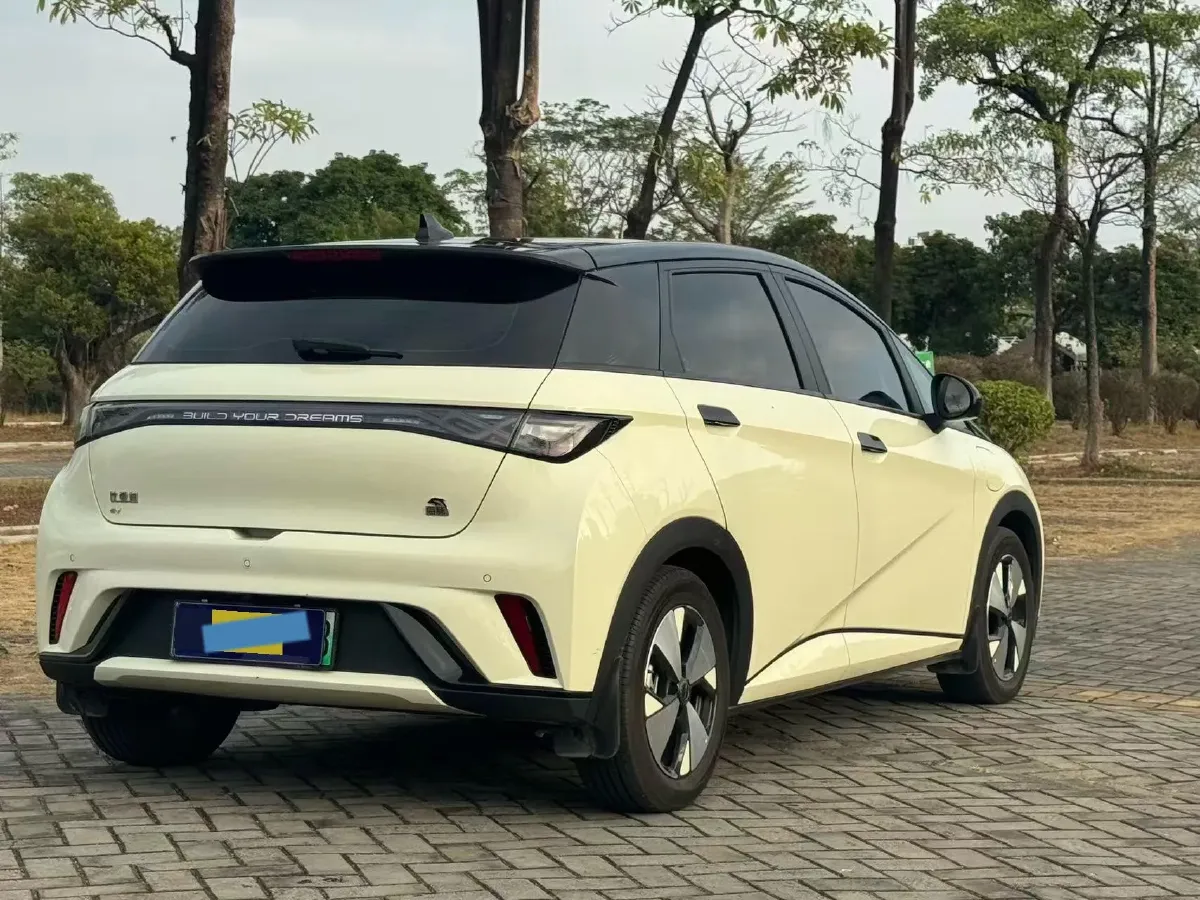 2024 BYD Dolphin BEV 44.928KWH,autocango,china used car exporter,china ev exporter,chinese used car exporter,chinese used ev exporter