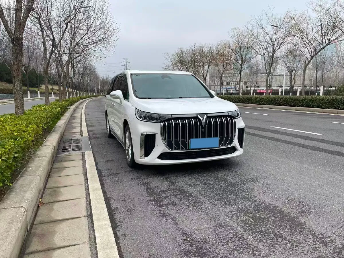 2024 Voyah Dream 1.5T 150HP L4 PHEV 43KWH,autocango,china used car exporter,china ev exporter,chinese used car exporter,chinese used ev exporter