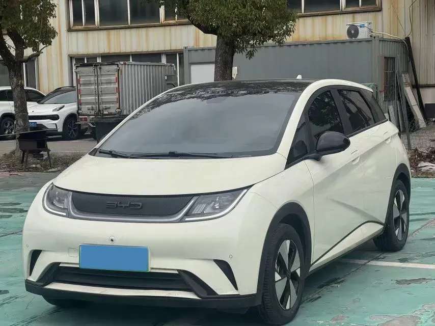 2023 BYD Dolphin BEV 44.928KWH,autocango,china used car exporter,china ev exporter,chinese used car exporter,chinese used ev exporter