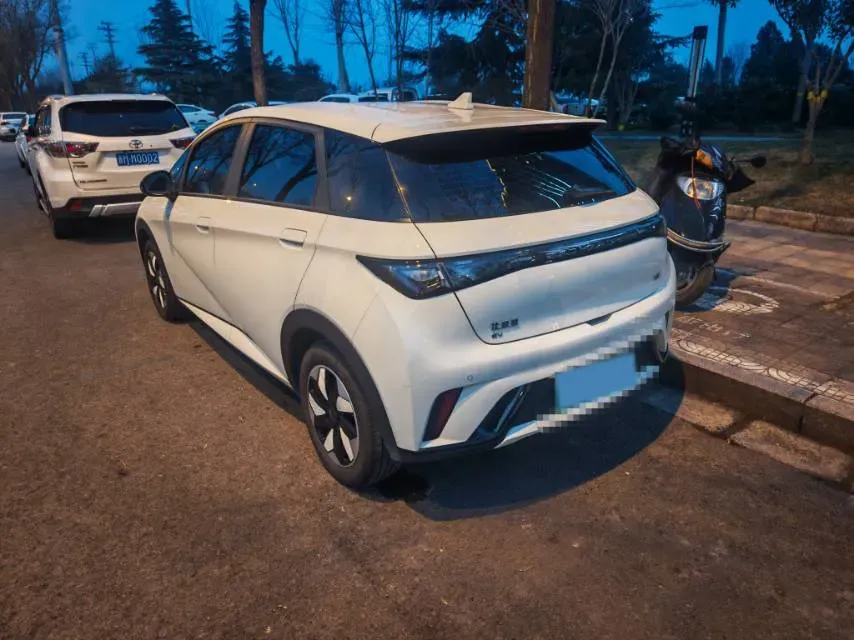 2025 BYD Dolphin BEV 44.928KWH,autocango,china used car exporter,china ev exporter,chinese used car exporter,chinese used ev exporter