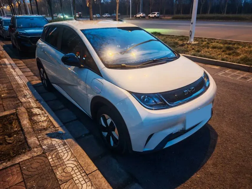 2025 BYD Dolphin BEV 44.928KWH,autocango,china used car exporter,china ev exporter,chinese used car exporter,chinese used ev exporter